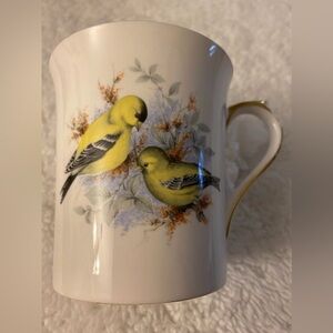 Birds of American series  Rosina bone china Finch 50%off w♥️G6